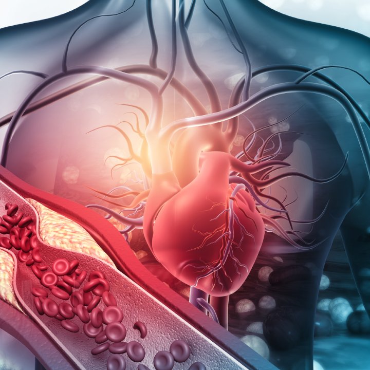 heart and blood vessels treatment